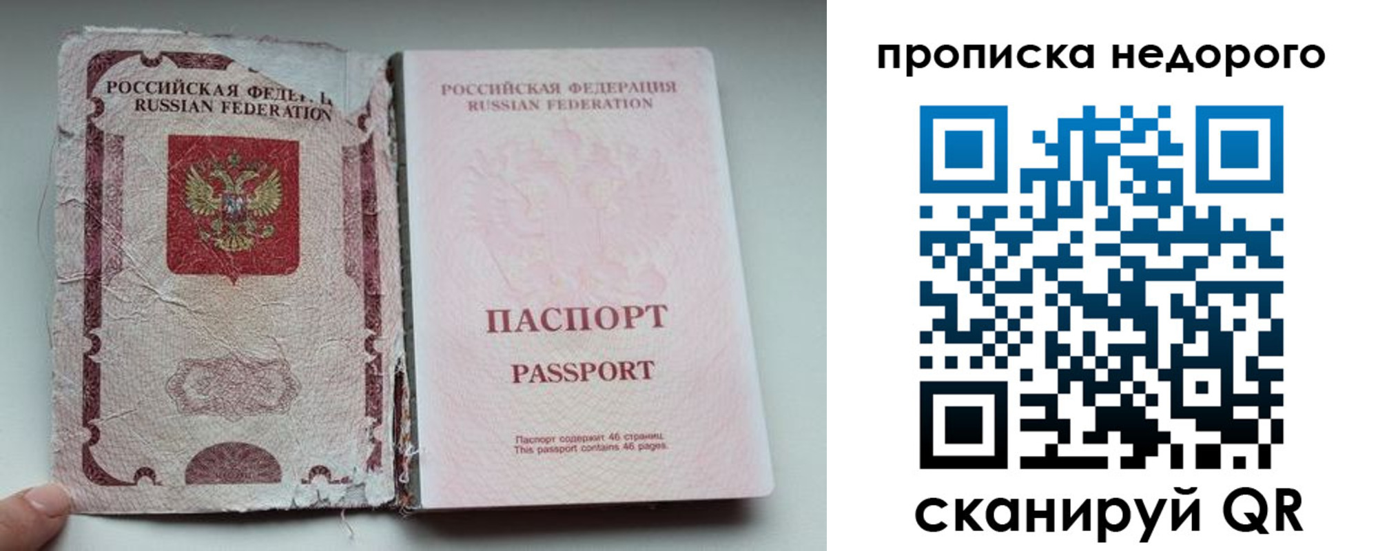 прописка для работы в Димитровграде
